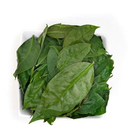 Ora-pro-nobis - iStock - iStock