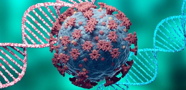 Pandemia no país | Taxa de reinfecção pelo novo coronavírus em Manaus pode ter chegado a 31%