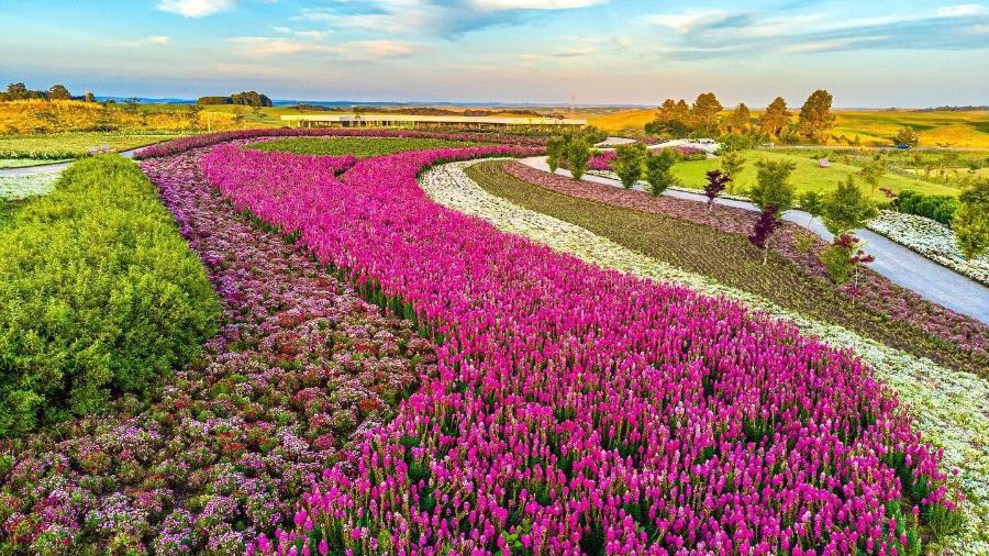 Mátria Parque de Flores fica em São Francisco de Paula, na Serra Gaúcha - Divulgação