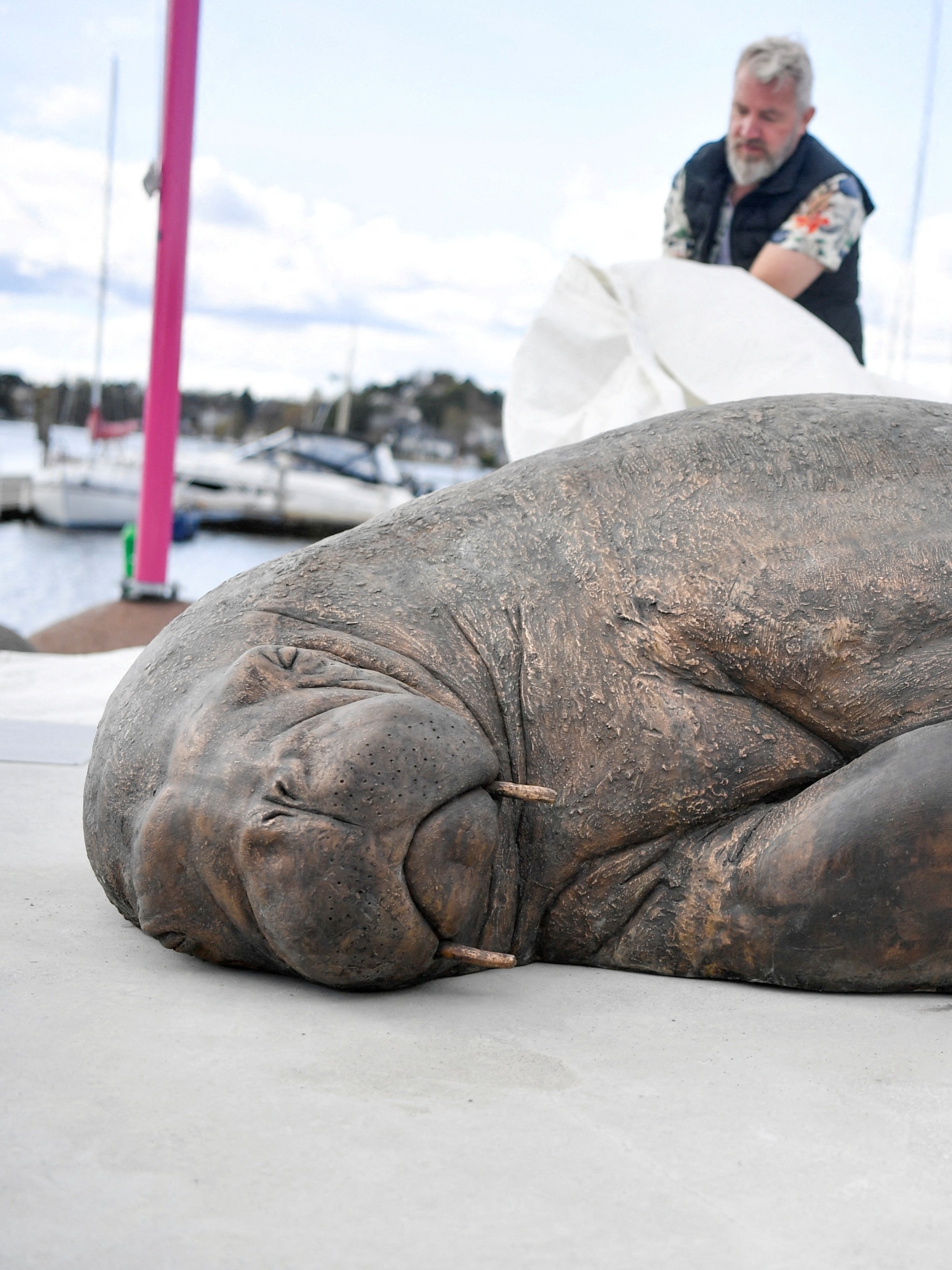 Escultura de morsa sacrificada é inaugurada na Noruega – DW – 29