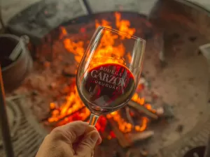 O que a Bodega Garzón, atual 6ª melhor vinícola do mundo, tem de especial