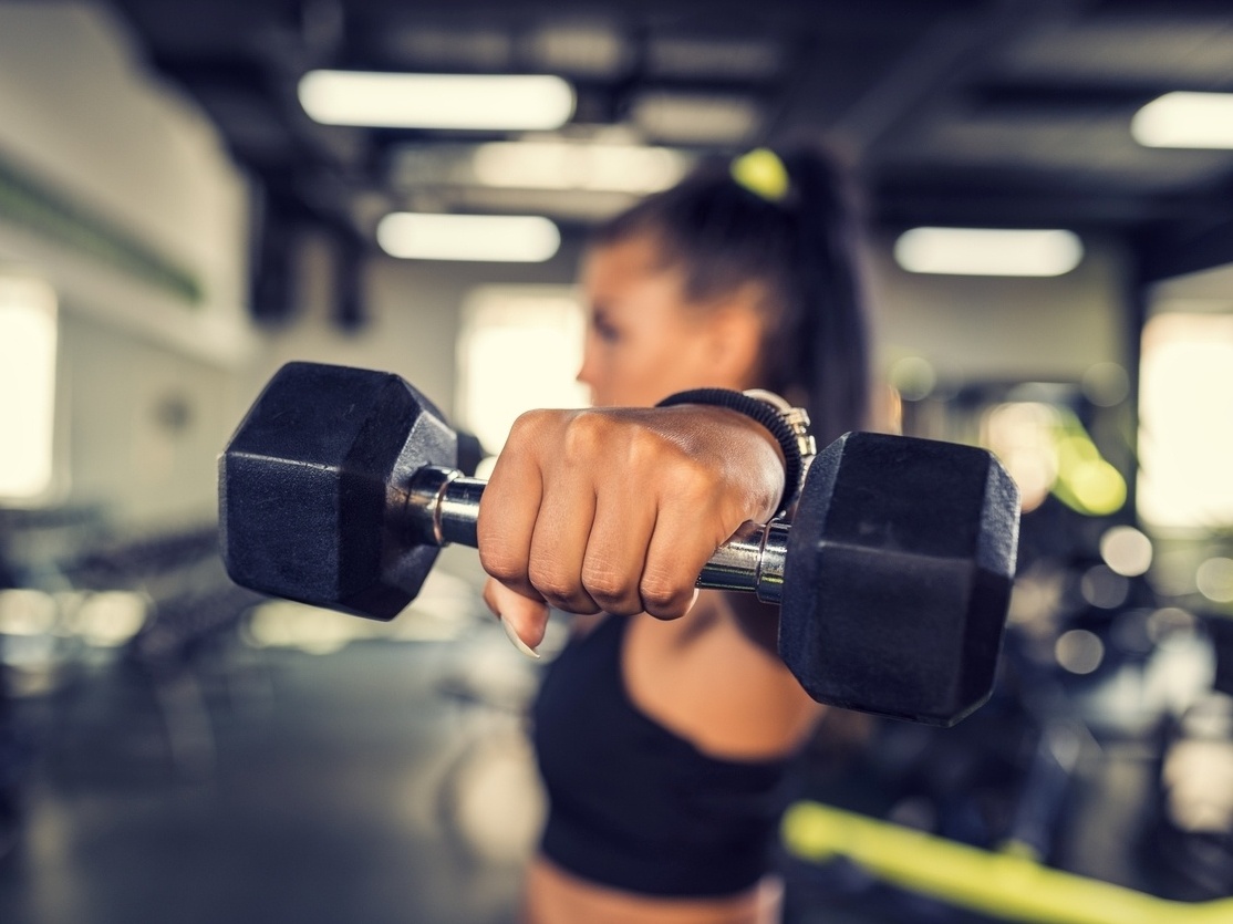 aparelhos de musculação membros superiores polia - Pesquisa Google   Musculação para iniciantes, Planilhas de treino, Academia para iniciantes