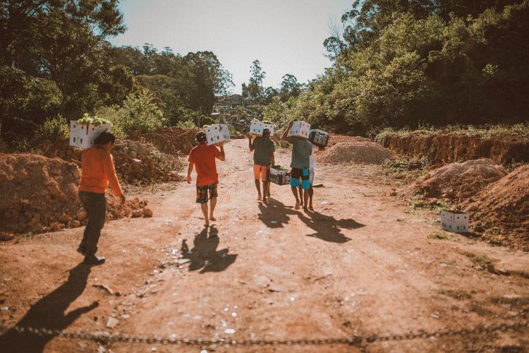 Projeto Orgânico Solidário - Divulgação - Divulgação
