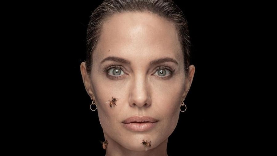 Angelina Jolie ficpu três dias sem banho para posar com abelhas - Reprodução/Instagram 