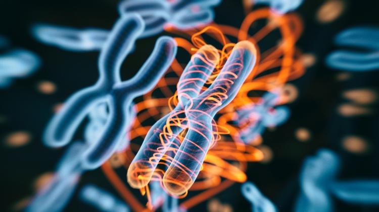 Doença genética, hereditária, congênita 2 - iStock - iStock