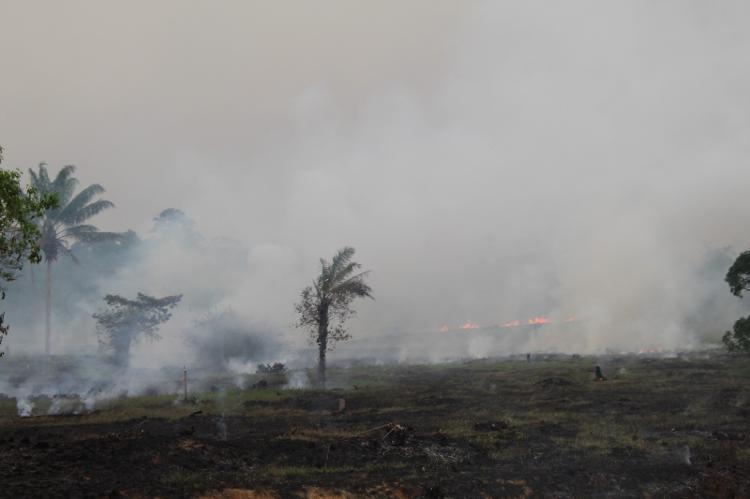 Queimadas ao longo da BR-319 deixaram o céu de Manaus coberto de fumaça 