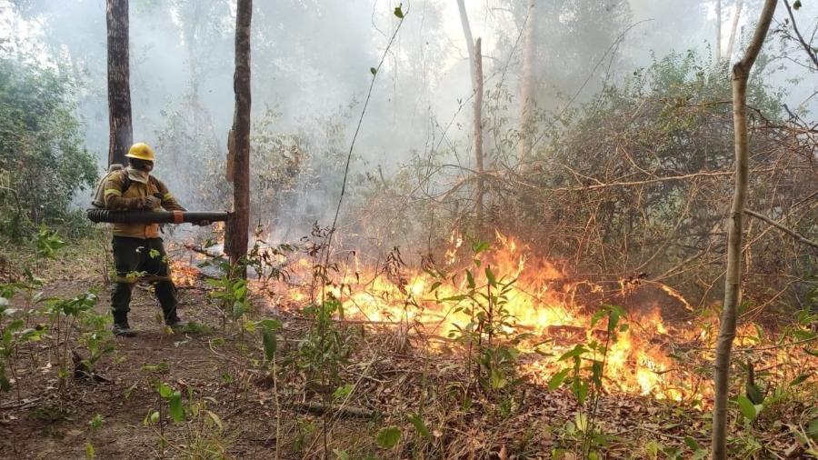 Outro problema é o desmatamento ilegal na Terra Indígena, os restos de madeira servem como combustível que, com frequência, geram incêndios. - Pedro Paulo Xerente