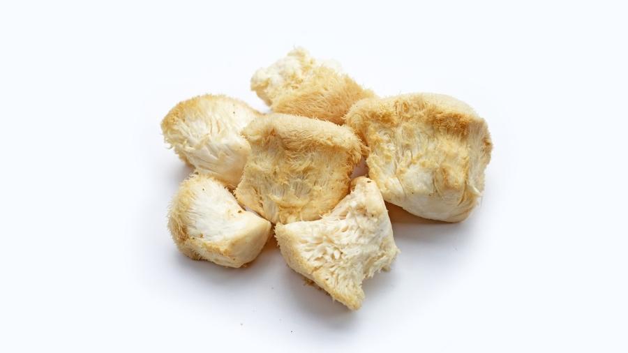 Cogumelo Juba de Leão