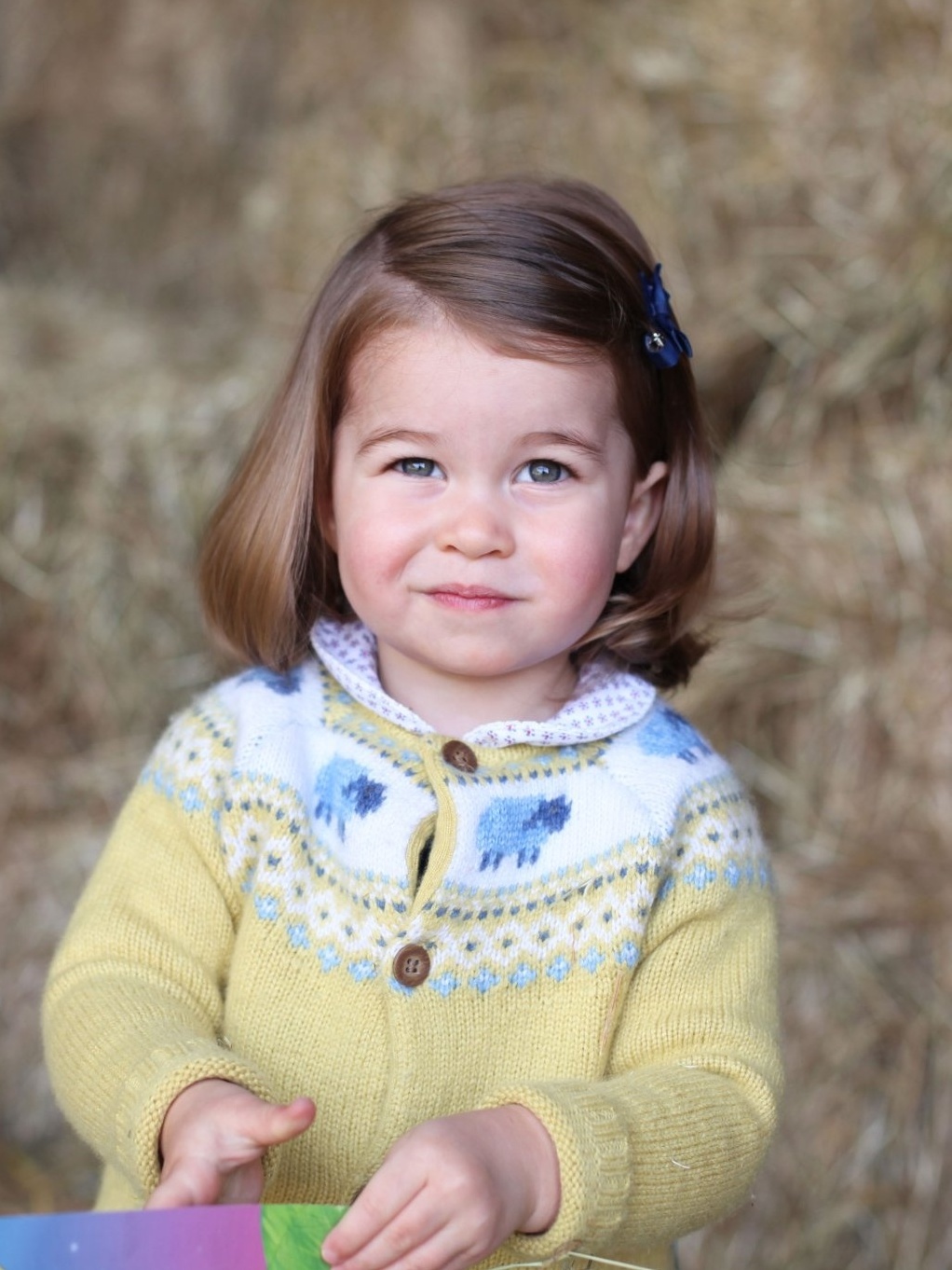 Palácio revela nova foto da princesa Charlotte, filha de Kate e William -  01/05/2017 - UOL TV e Famosos