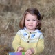 Palácio de Kensington divulga nova foto da princesa Charlotte, filha de Kate e William, às vésperas do aniversário de dois anos da menina - Reprodução/Twitter/KensingtonRoyal