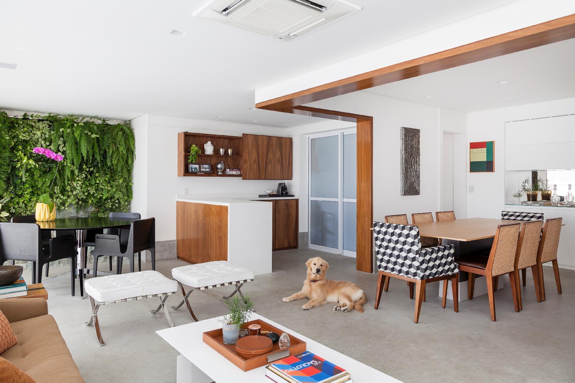 Jardim vertical acompanhado de uma fonte com espécies aquáticas - Júlia Ribeiro/Divulgação