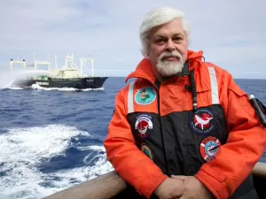 Ativista ambientalista Paul Watson continuará preso na Groenlândia