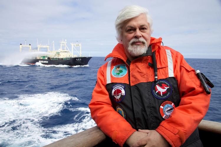 Paul Watson é ambientalista e protetor das baleias