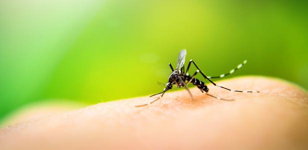 9 errores que sueles cometer al protegerte del dengue – 23/11/2022