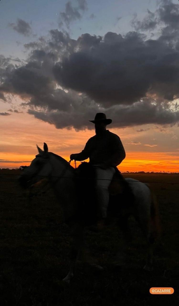 José Loreto faz registro de Juliano Cazarré no Pantanal - Reprodução/Instagram - Reprodução/Instagram