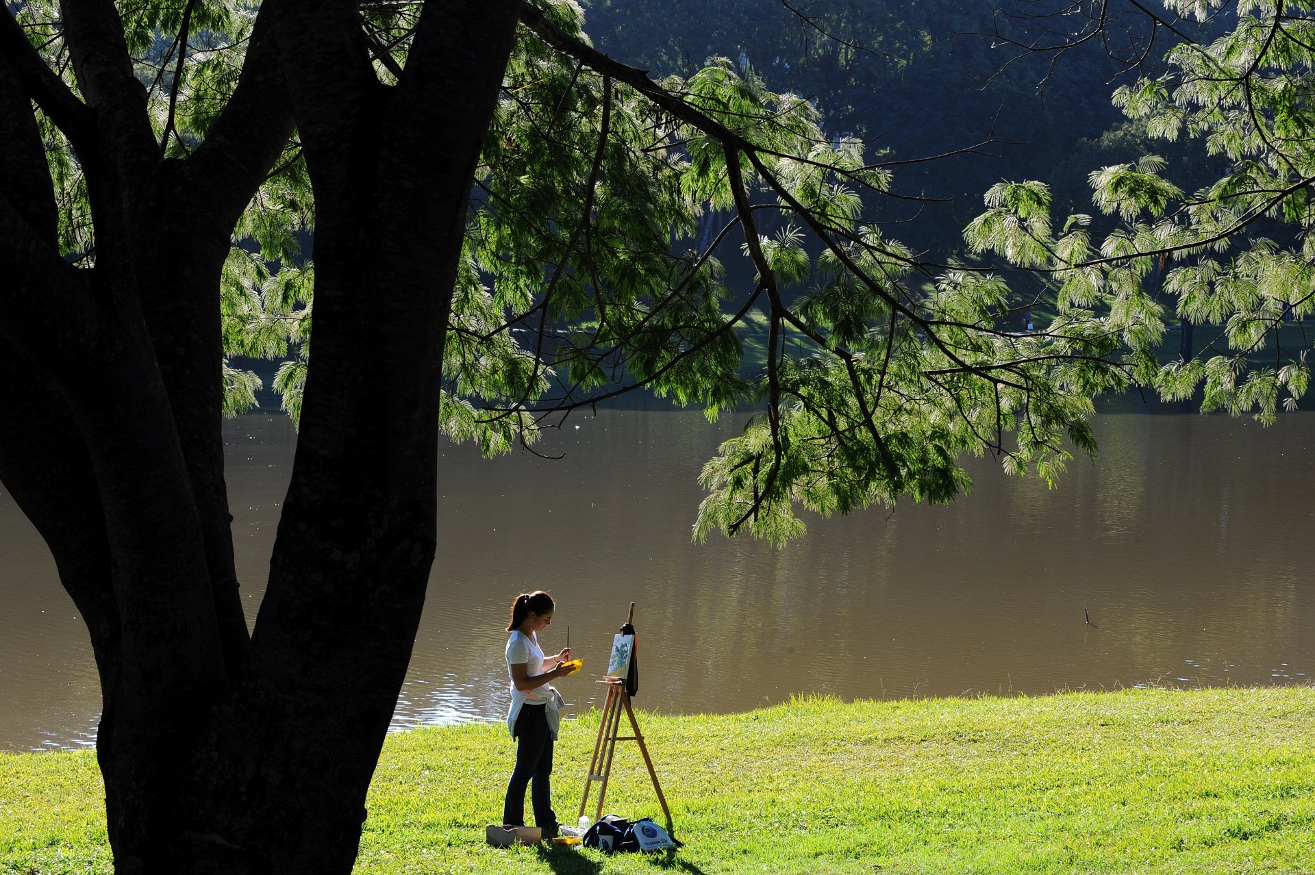 O Parque São Lourenço - Divulgação/Ricardo Almeida-SMCS