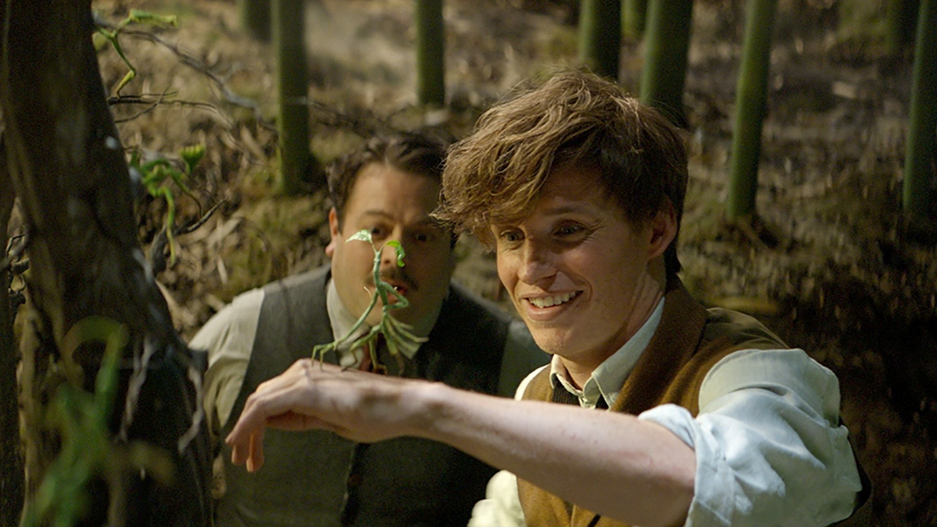 Dan Fogler e Eddie Redmayne em cena do filme "Animais Fantásticos e Onde Habitam" - Divulgação /Warner