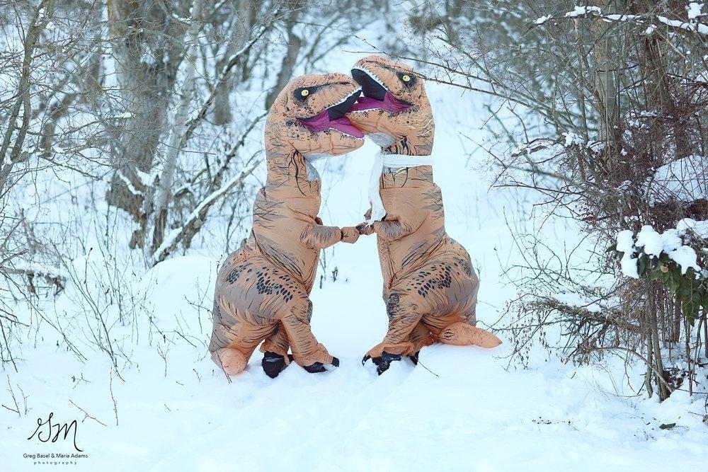 Noivado T Rex - Reprodução/gbmaphotography.com
