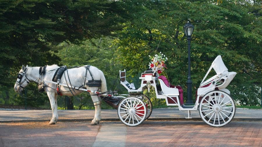 Carruagem puxada por cavalo no Central Park - Andy Kazie/Getty Imagens 
