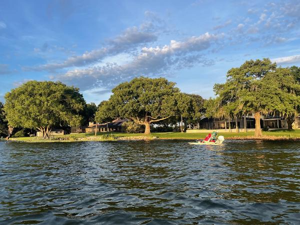 Grandalhões e simpáticos: como é nadar pertinho dos peixes-boi na