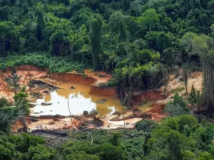 Garimpo cresceu 361% em terras indígenas na Amazônia de 2016 a 2022