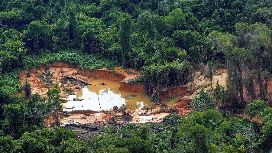 Áreas de garimpo ilegal na Terra Indígena Yanomami vistas em sobrevoo ao longo do rio Mucajaí em Roraima - Fernando Frazão - 10/02/2023/Agência Brasil
