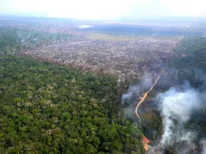 Desmatamento na Amazônia brasileira cai para o menor nível em 9 anos