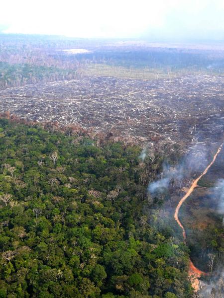 A destruição da Amazônia afeta o clima do planeta