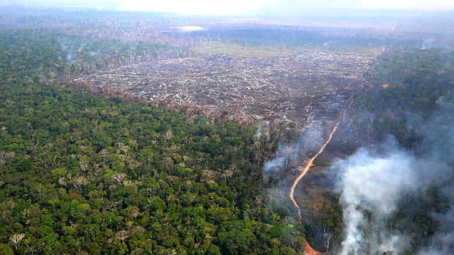 Cerca de 6.288 quilômetros quadrados da Amazônia foram destruídos entre agosto de 2023 e julho de 2024 - Evaristo Sá/AFP