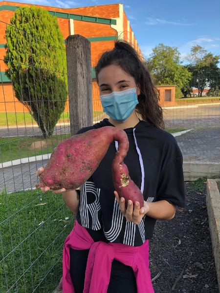 Bolsista Beatriz Souza mostra batata doce colhida na escola Santa Helena  - Divulgação/ Projeto Lixo Orgânico Zero