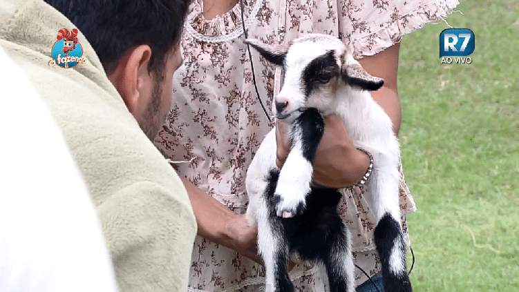 29.set.2015 - Amadinha é a novata em "A Fazenda 8" - Reprodução/Record