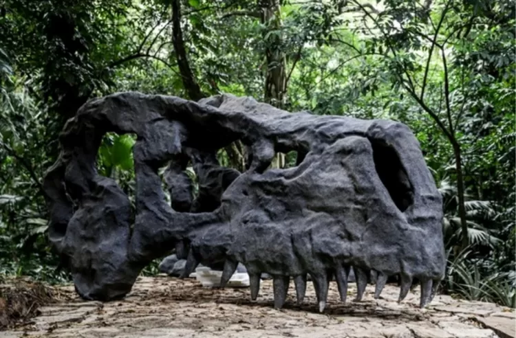 Um dos "fósseis" do parque - Divulgação - Divulgação