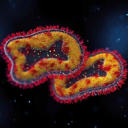 Ilustração do vírus da varíola dos macacos - iStock