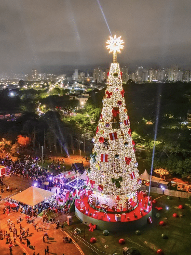 Hopi Hari - Nossa árvore de Natal será gigante!! A segunda maior do Brasil  ! Já está quase tudo pronto para a grande festa de acendimentu (iluminação)  no dia 26 de novembro