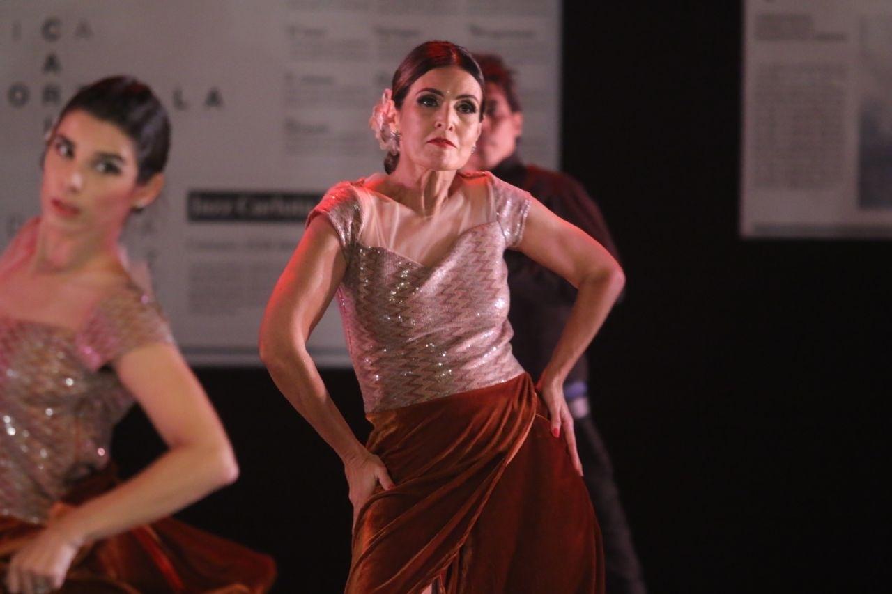 Fátima Bernardes se apresenta em espetáculo de dança com Bonner na plateia - Daniel Pinheiro e Wallace Barbosa/AgNews