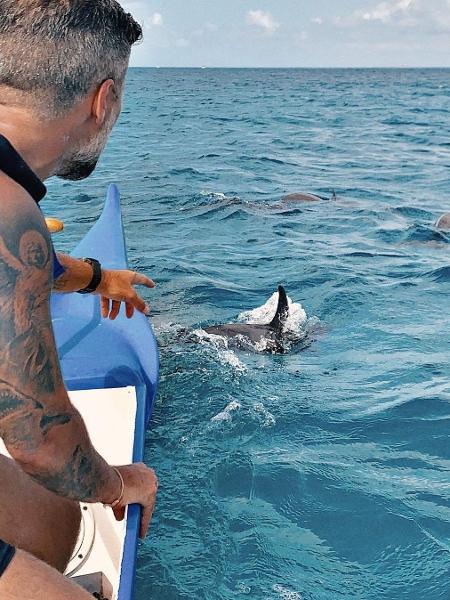 Bruno Gagliasso mostra encontro com golfinhos em Fernando de Noronha - Reprodução/Instagram