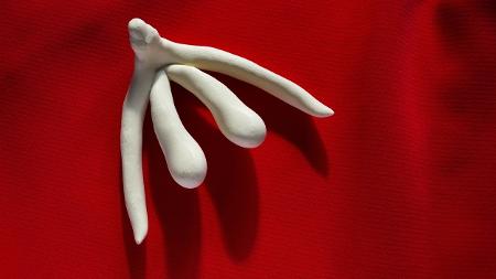 Clitóris - iStock - iStock