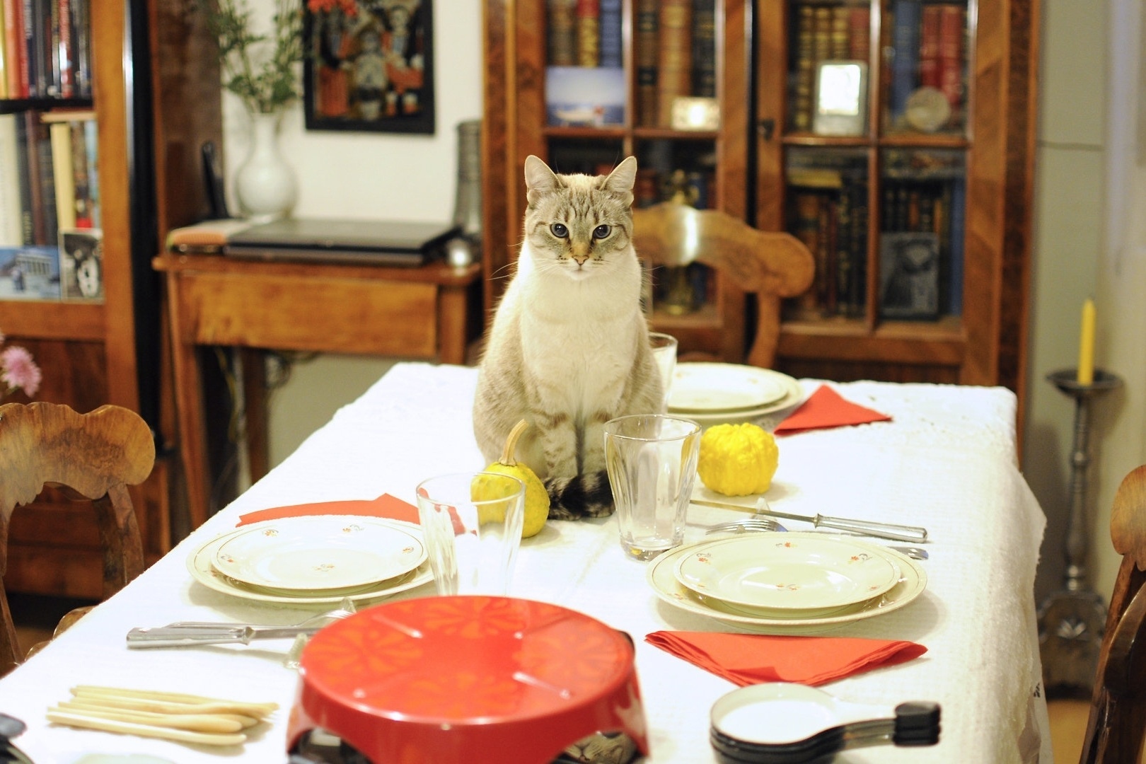 Cena do filme "Autorretrato de uma Filha Obediente" - Divulgação