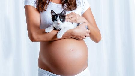 Gestantes, bebês e gatos podem viver na mesma casa com saúde; veja