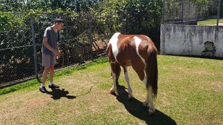 Lucas morria de medo animais no geral, e cavalos em particular, e começou a interagir bastante em terapia na clínica de longa permanência - Arquivo pessoal