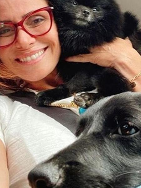 Giovanna Antonelli mostra cachorra adotada - Reprodução/Instagram