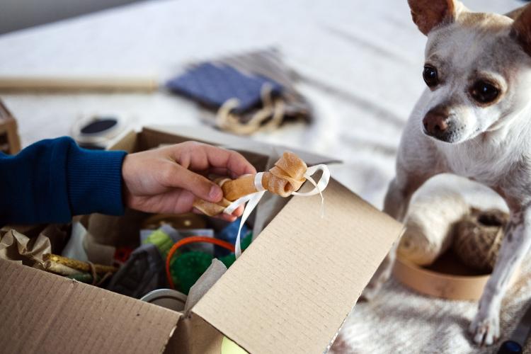 Dog with a signature treat box - Getty Images / iStockphoto - Getty Images / iStockphoto