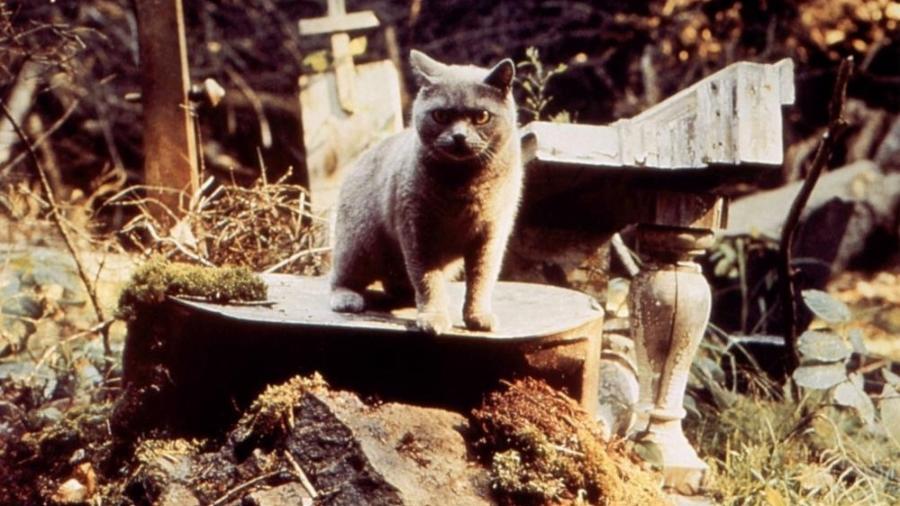 Cena de "Cemitério Maldito", filme de 1989 - Reprodução