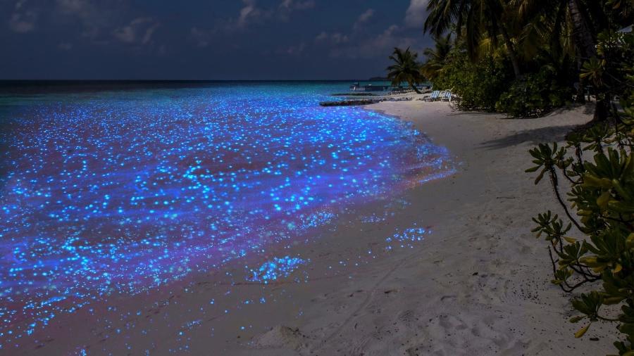 Fenômeno de bioluminescência é atração turística nas Maldivas - Getty Images/iStockphoto