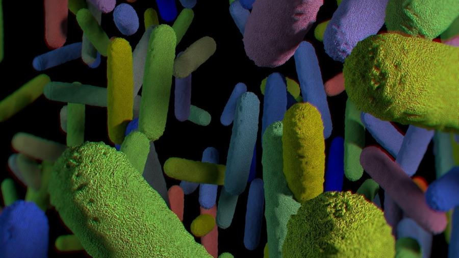 Microbiota é composta pelas bactérias que habitam o nosso intestino - iStock