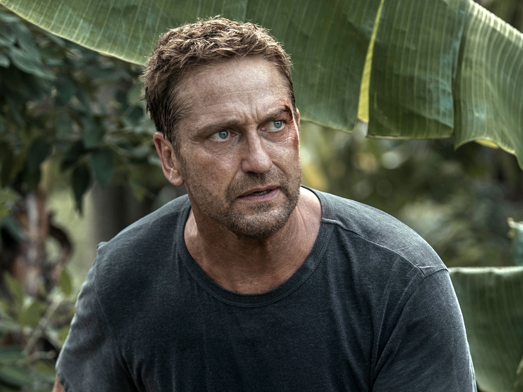 Gerard Butler: Melhores filmes e séries