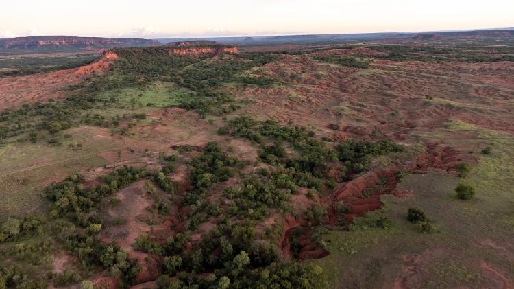 Área reflorestada em meio à paisagem desertificada do município de Gilbués, no sul do Piauí