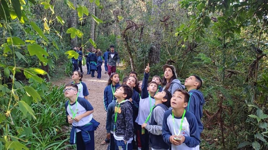 Crianças aprendem sustentabilidade ambiental e nos negócios em escola em Campos do Jordão (SP)