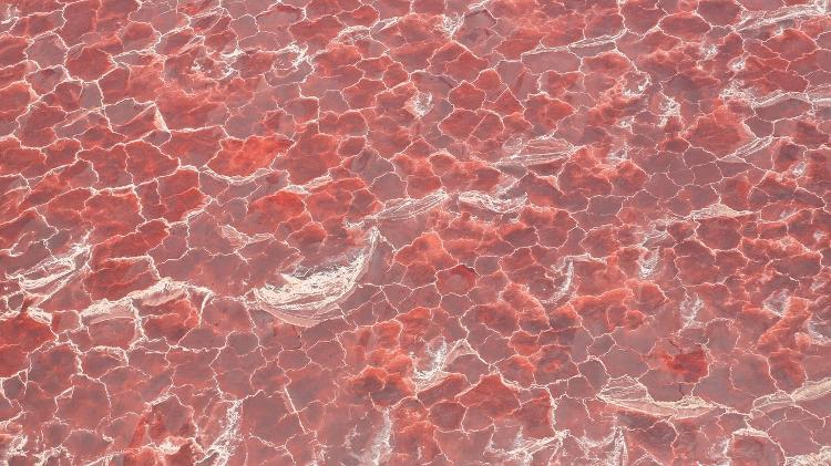 O lago Natron exibe paisagens dignas de filme de ficção científica - Getty Images/iStockphoto - Getty Images/iStockphoto