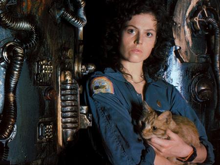 meia branca com desenho alien e gato - youcom: vem cá conferir